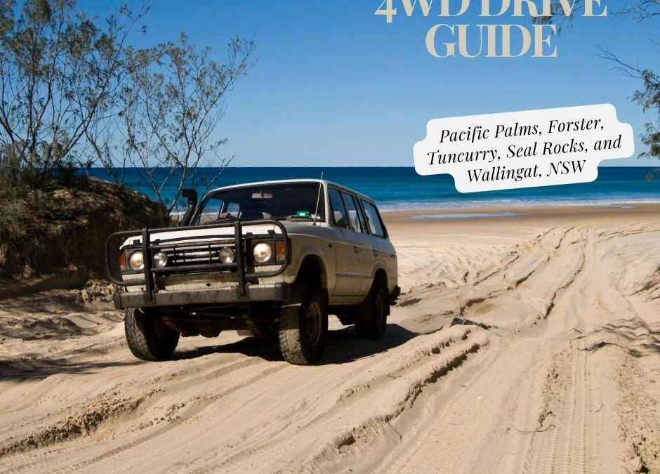 The Ultimate 4WD Guide to Pacific Palms, Forster, Tuncurry, Seal Rocks, and Wallingat, NSW