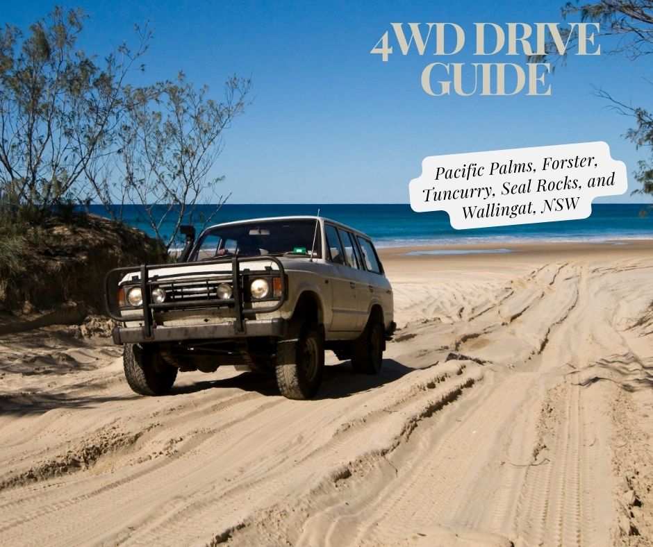 4wd Drive Guide