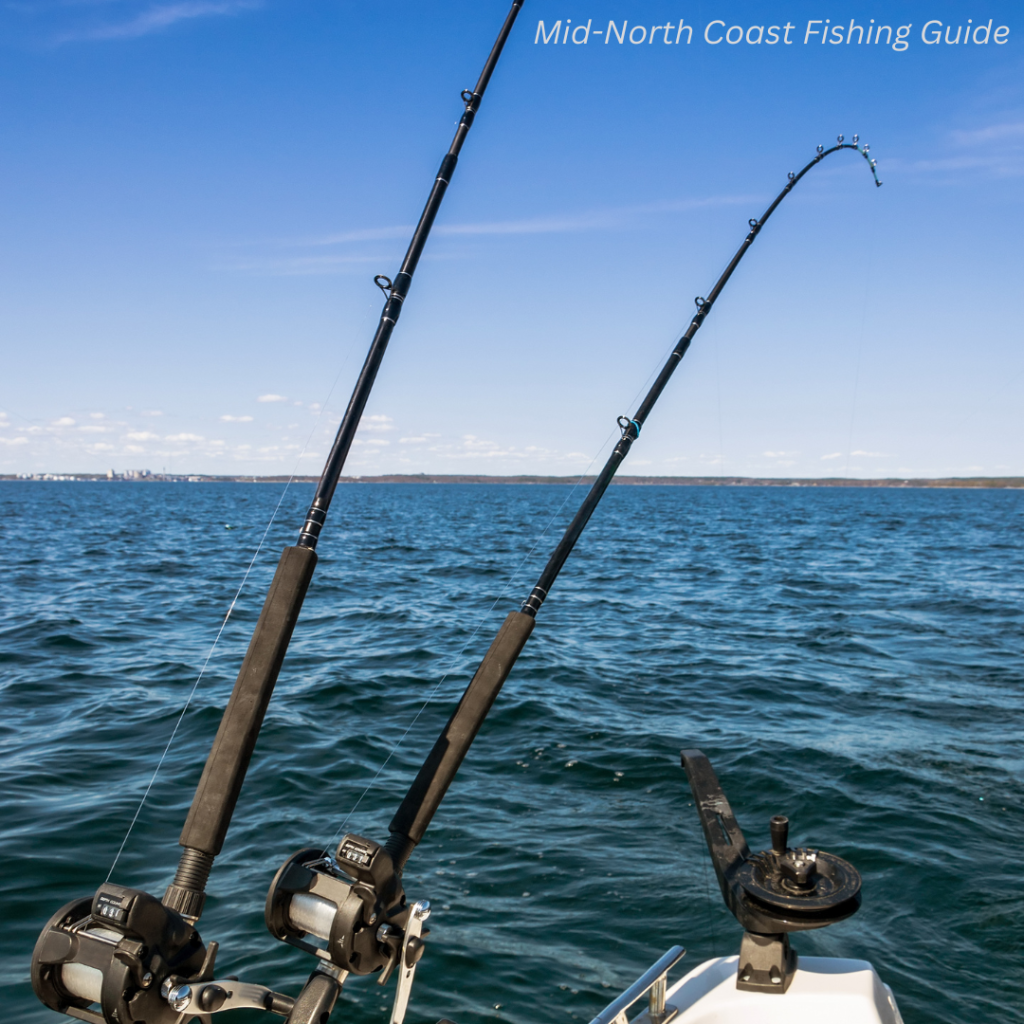 Mid-North Coast Fishing Guide