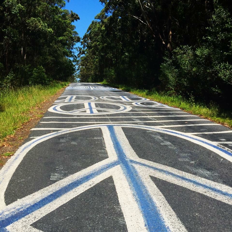 the road into Seal Rocks