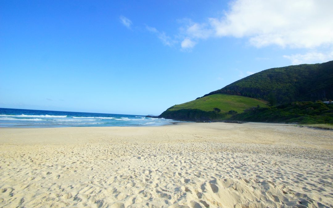 A Unique Coastal Getaway, Top Food & Wine Experiences