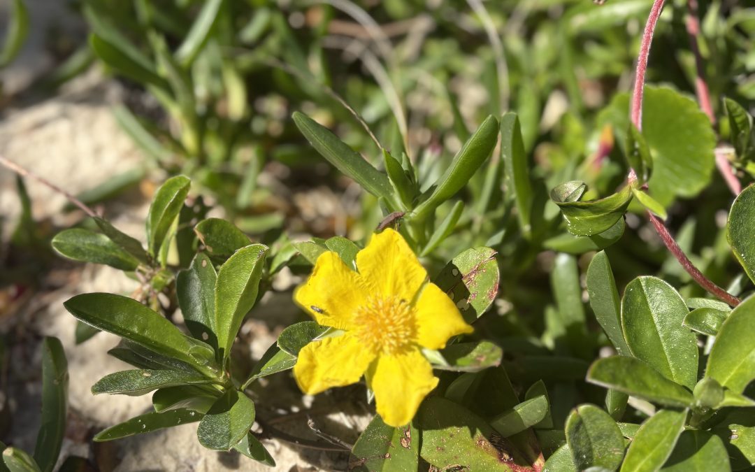 It’s Time To Be Part The Fun This Springtime